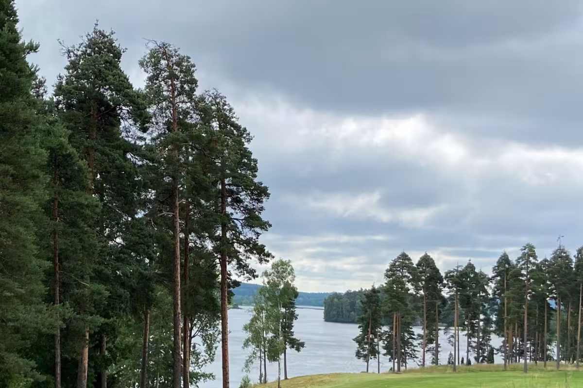Koppelinnotko