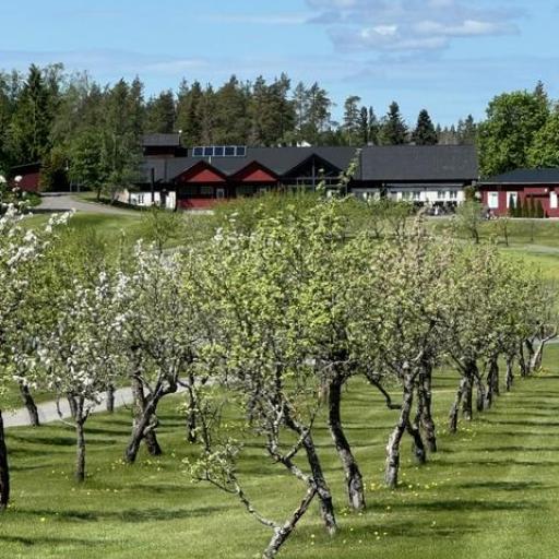 Omenapuut väylän 18 laidalla