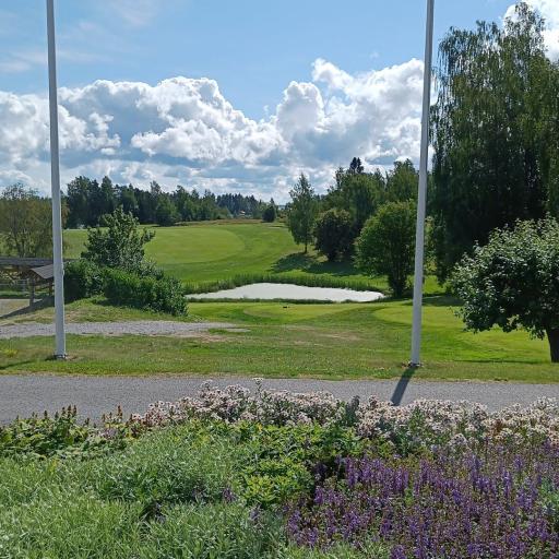 Aamusumun jälkeen - Kuva Sesto Mäkelä