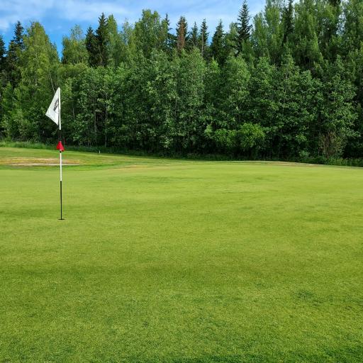 Aluetour Vihti Golfissa, kentän kunto oli upea.