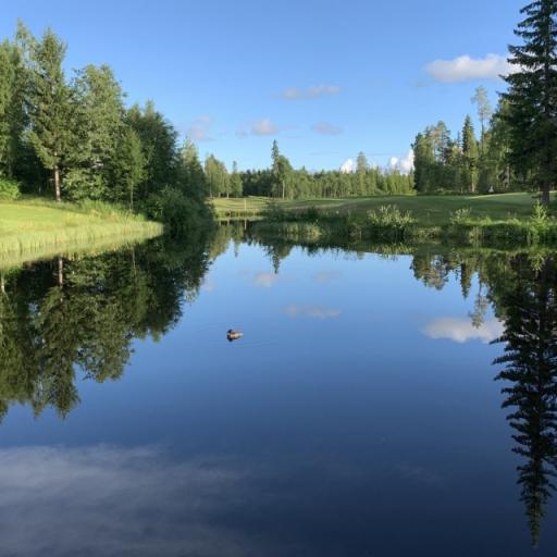 Botnia Golf väylä 4