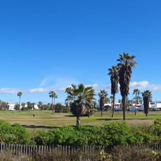 Costa ballena