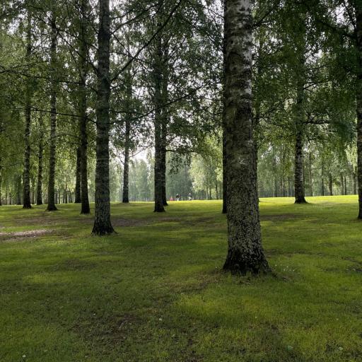  Hieno pelikeli, yksi sadekuuro ja tuulista.