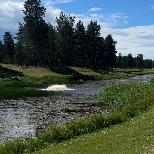 Väylä 11