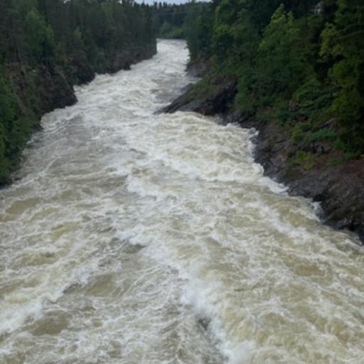 Ne, jotka ajoivat kaupungin läpi saivat ihastella Imatrankoskea, joka kuohui komeana.