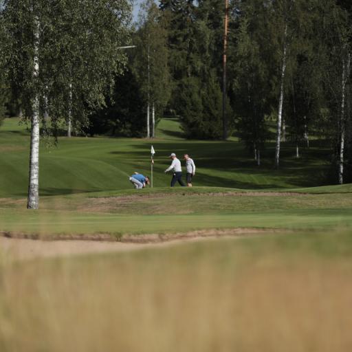  Kenttä mintissä💎