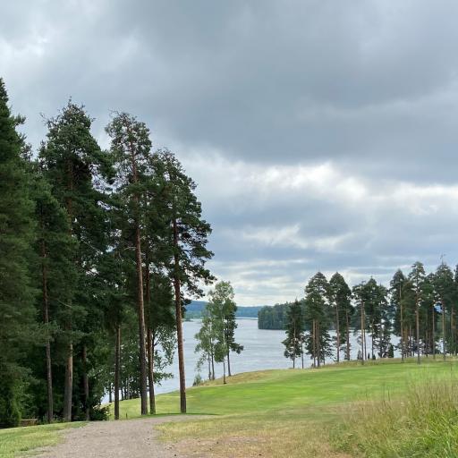  Koppelinnotko taustanaan Kymijoki