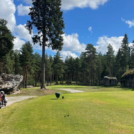 Vaasan Golfin kentällä on hieman isompia kiinteitä esteitä