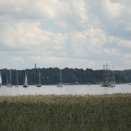 The Tall Ships Races