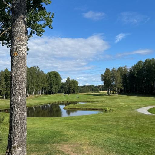 Tyyntä ennen ukkosta