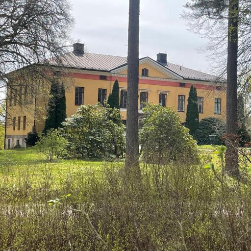Wiurila