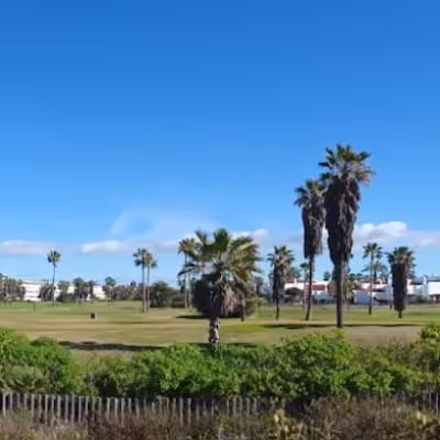 Costa ballena