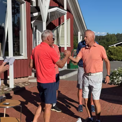 Seppo Hujanen, hopeamitali