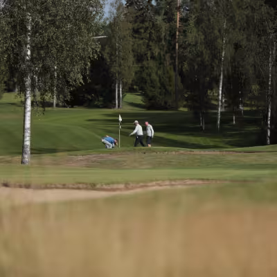  Kenttä mintissä💎