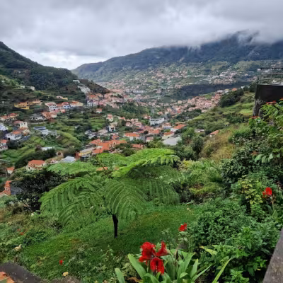 Machino (levada)