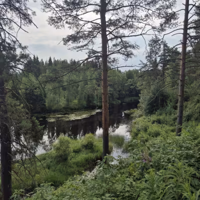 Oulun Golfkerho