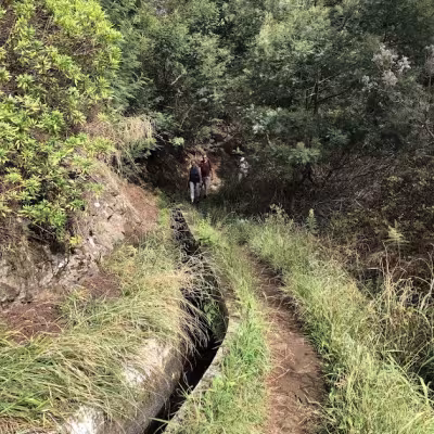 Levadalla