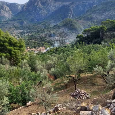 Soller 2