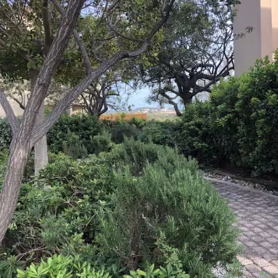 Westin aluetta